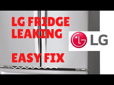 Where is the defrost drain on my LG Fridge Freezer?