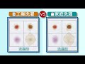 工業洗濯と家庭洗濯の比較動画