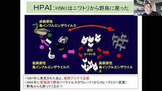 家禽疾病学4回2インフルH5N1 edit