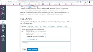 Submitting More than One File On Canvas