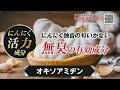 村西とおる お待たせしすぎたかもしれません 京福堂 プロキオンcm