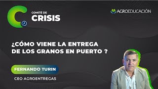 ¿Cómo Viene la Entrega de los Granos en Puerto? - Fernando Turin