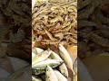 fish market seafood malayalam fishsellers seafoodrecipes freshfish food fishmarket fish