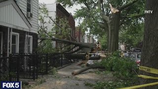 Storm knocks trees down in Queens