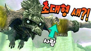 이번엔 초대형 새와의 공중전이다! 그런데 이번엔 좀 빡세네요? [ 완다와 거상 리메이크  #3 ( Shadow of the colosuss ) ]  l 휴지 게임