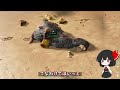 【arkゆっくり実況】「ark界のアイドル！！カワウソをテイムする！！」恐竜オタクのark島生活part6【ark asa】 6