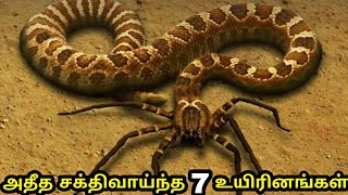 அசாத்திய சக்திவாய்ந்த 7 உயிரினங்கள் | 7 amazing animals with real superpower |