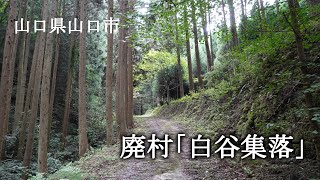 山口県山口市　廃村「白谷集落」