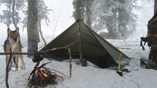 The Hungry Wolves Raided The Winter Camp - Wild Wolf Arrived at the Tent - Winter Camp - Snow Camp