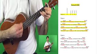 Trad Success - Ukulele - Video 27 - Spancil Hill.