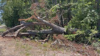 WebXtra: Upshur County crews still clearing June storm debris