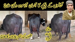 Her qisam k pichay ka asan Desi ilaj || band than kholnay ka shartia desi ilaj || Prolaps of utris