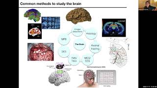Fundamentals of Human Neuropsychology (undergraduate lecture)