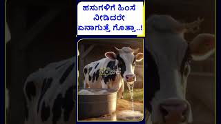 Chamarajpet Cows Case: ಕೆಚ್ಚಲು ಕುಯ್ದವನ ಕಥೆ ಏನಾಗುತ್ತೆ ಗೊತ್ತಾ.?ಅಪ್ಪಿತಪ್ಪಿಯೂ ಹಸುಗಳಿಗೆ ಇದನ್ನ ಮಾಡಬಾರದು.!