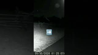 Gettysburg Ghosts Caught On Trail Camera