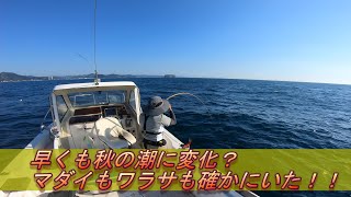 【東京湾マイボートフィッシング】早くも秋の潮に変化？マダイもワラサも確かにいた！！～内房保田沖のマダイ釣り【東京湾　プレジャーボート】