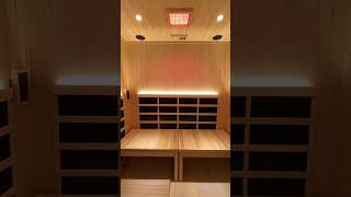 Custom Basement Bathroom with Infrared Sauna: Renaissance Homes - Built From Imagination