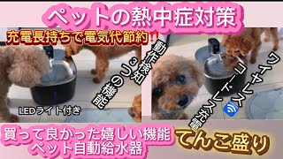 【ペットの熱中症対策】　ペット自動給水器　コードレスだからお留守番の時も安心安全　電気代も節約出来るアイテムはこちら・・・【トイプードル】