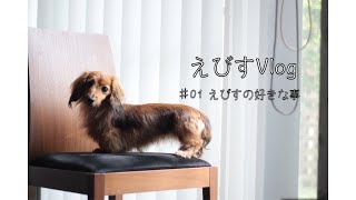 【保護犬】と暮らして２週間でわかった事【カニンヘンダックスえびすの日常】