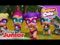 Super Cute Little Babies: El koala sin casa | Disney Junior Oficial