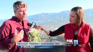 KKFX: Drought Friendly Gardening Tips | Bruce Reed