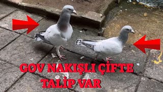 Gov Nakışlar Gaziantep'ten Büyük Teklif ( Verdim mi )