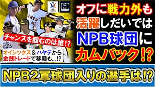 【今年は誰が...！？】オフに戦力外もアピール次第ではシーズン途中に金銭トレードでＮＰＢ１２球団にカムバックの可能性！？参入２年目の「オイシックス」＆「くふうハヤテ」ら入団の注目選手をチェック！