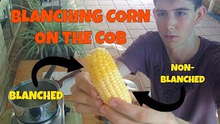 How to Blanch Sweet Corn on the Cob (For Freezing)