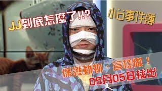 小O事件簿 預告#113(5/5播出)-保護動物，這樣做!