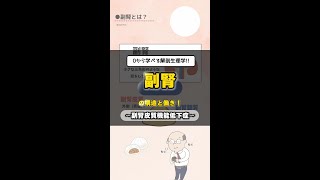 【副腎ってどんな臓器？】#副腎皮質機能低下症