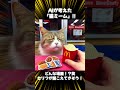 aiが考えた『猫ミーム』ってどんなの？🐱どんな場面？セリフが聞こえてきそう！笑 ai画像16枚 ai 猫ミーム shorts