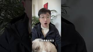 猫咪最想告诉你的8句话，猫咪虽然会惹你生气，但它也很爱你。8 quotes about cats. Although cats may make you angry,