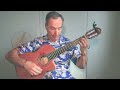 flamenco guitar the heart of flamenco soleares