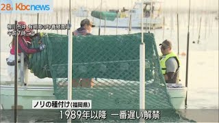 ２８日　有明海で養殖ノリの種付け始まる