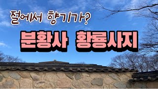 분황사\u0026황룡사역사문화관(feat.대릉원이 막히면...)