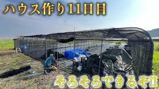 【ハウス作り11日目】出入り口や周囲にネットを！！完成間近か！！！