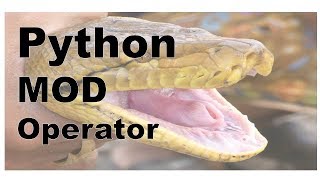106 - Python - "MOD %" Statement Examples