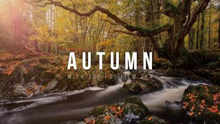 Autumn LANDSCAPE PHOTOGRAPHY Vlog