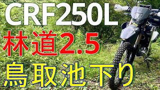 2023年型 ホンダ CRF250L 林道2.5 鳥取池林道 【大阪 泉州】【MD47】【ゼロから始めるオフロードバイク 00014】【林道/旧道 0003】