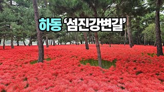 맨발로 걷기 좋은 강변 모래밭 | 한 번은 걸어야 할 하동 섬진강변길 | 섬진강 습지공원(섬진강 갈대밭) | 섬진강 대숲길 | 목도공원 | 송림공원 | 평사리공원