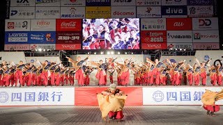 [4K] よさこいチーム炎～ほむら～　高知よさこい祭り 2019 本祭1日目