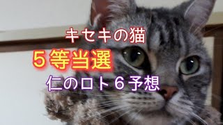 ロト６予想　キセキの猫仁Jin の選んだ数字を当たるまで買い続ける