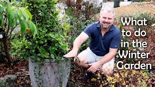 January Garden Checklist - In Shorts!!!