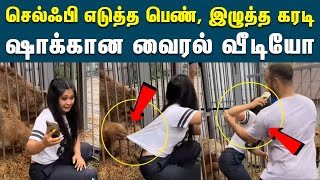 செல்ஃபி எடுக்க சென்ற பெண்ணை இழுத்த கரடி - ஷாக்கான வைரல் வீடியோ | Selfie | Funny |