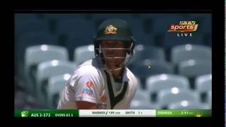 Pakistan vs. Australia, 2nd test, David Warner 200 run celebration, 2019