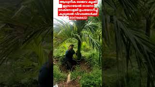 ആധുനീക ജൈവ കൃഷി ഇസ്രായേൽ നാനോ ടെക്നോളജി ഉപയോഗിച്ച് കൂടുതൽ വിവരങ്ങൾക്ക് 8547666622