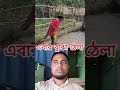 এবার বুঝো ঠেলা funny viralvideo comedy duetcomedy comedytv duet funnycomedy comedymovies