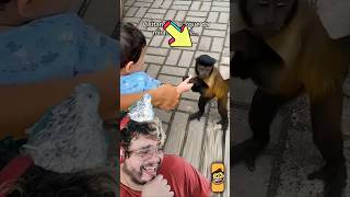 Macaco Rouba Criança Ganha Apelido De  LULA #cosmocanal #humor #comedia #react