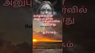 வாழ்கையின் நல்ல அனுபவம்  உணவின் சுவை ஆறு அன்பு பாசம் கோவம்  துரோகம் ?நாம் பலம் தெரியும்  தத்துவம்