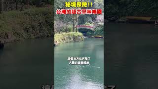 位於新北的台灣超古早味樂園！#shorts #旅遊 #台灣旅遊 #台灣 #台灣景點 #新北景點 #新北旅遊 #雲仙樂園 #新北雲仙樂園 #新北景點推薦 #台灣一日遊 #一日遊 #一日遊景點